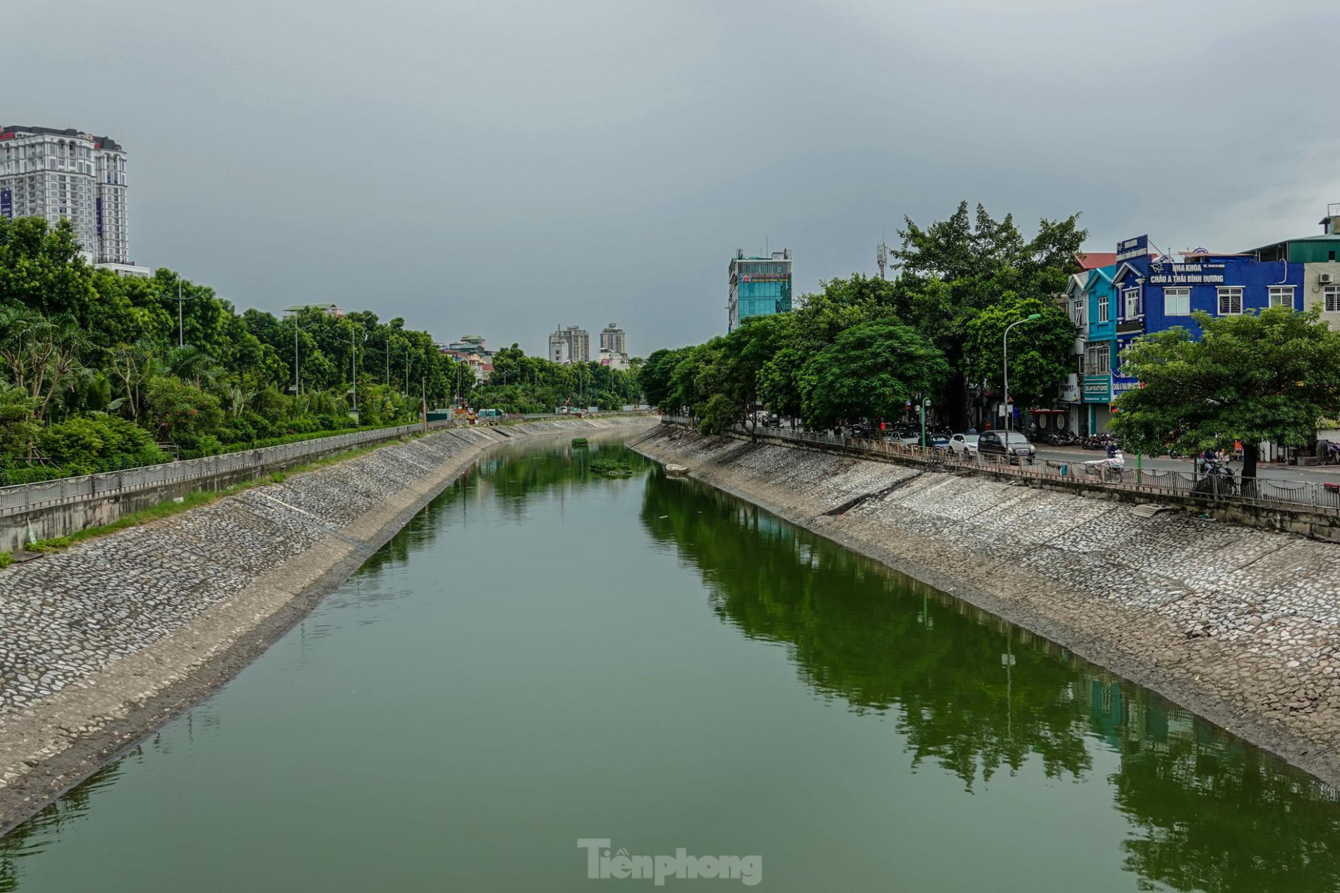 Nước sông Tô Lịch đổi màu xanh ngắt, người dân đội mưa bắt cả tạ cá ảnh 1