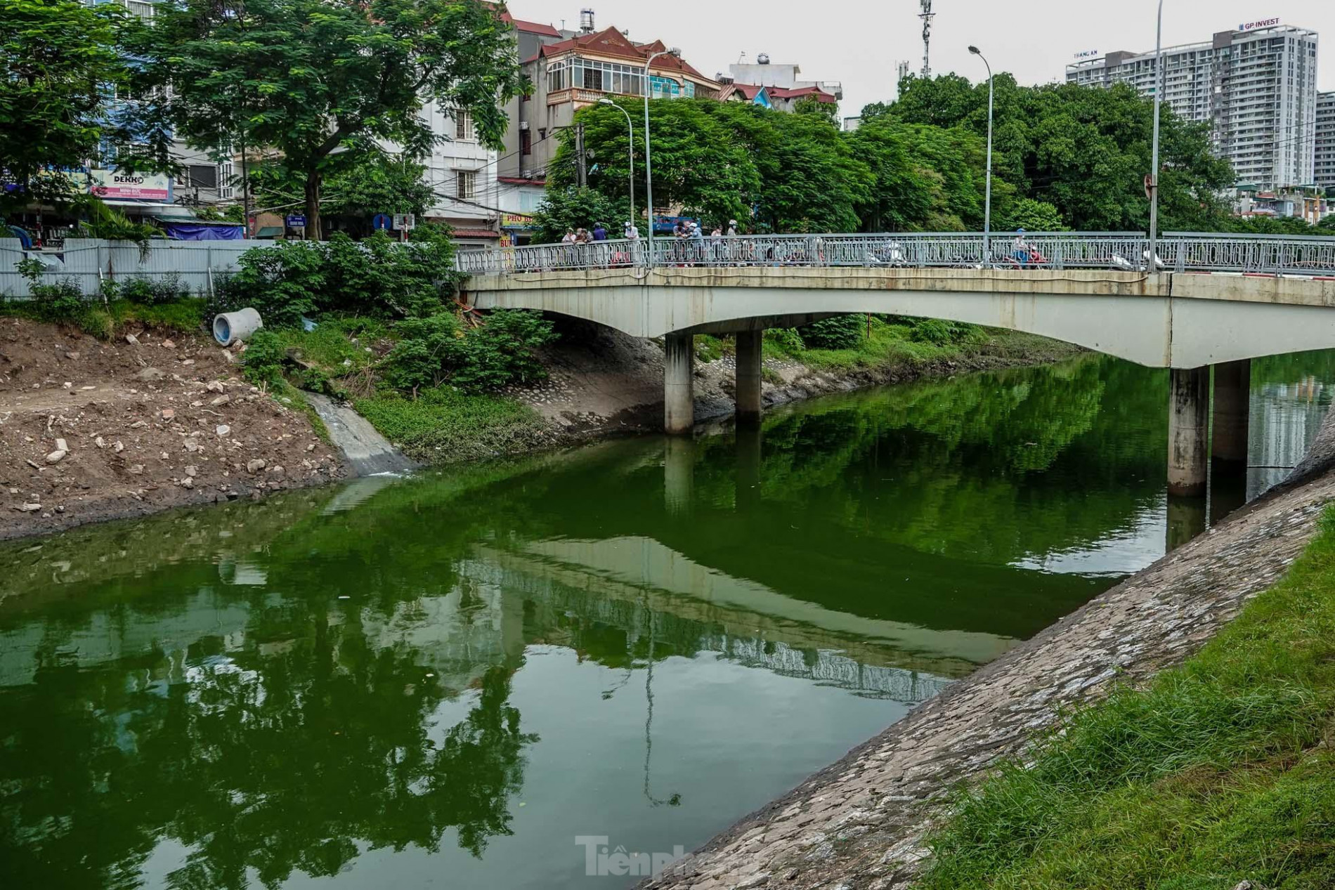 Nước sông Tô Lịch đổi màu xanh ngắt, người dân đội mưa bắt cả tạ cá ảnh 2