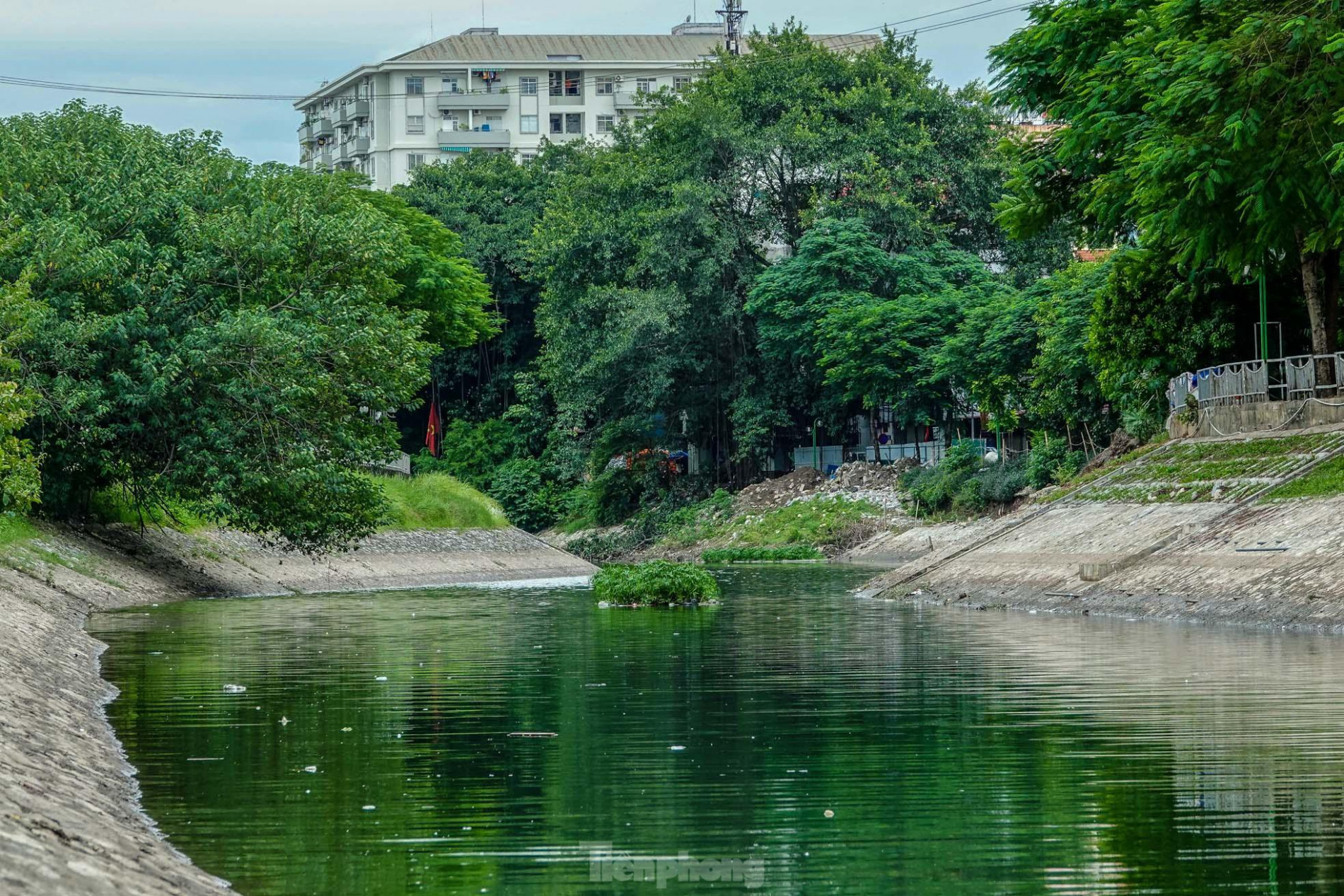 Nước sông Tô Lịch đổi màu xanh ngắt, người dân đội mưa bắt cả tạ cá ảnh 6