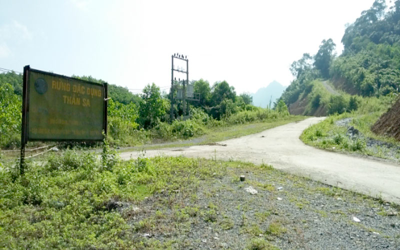 Thái Nguyên khắc phục bất cập quy hoạch rừng Thần Sa - Phượng Hoàng