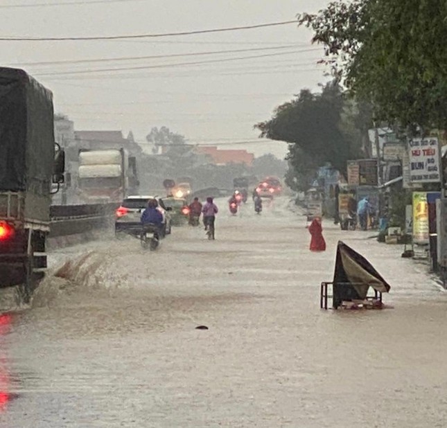 Nước lũ dâng cao ở Quảng Ngãi, hàng trăm nhà dân chìm trong biển nước ảnh 8