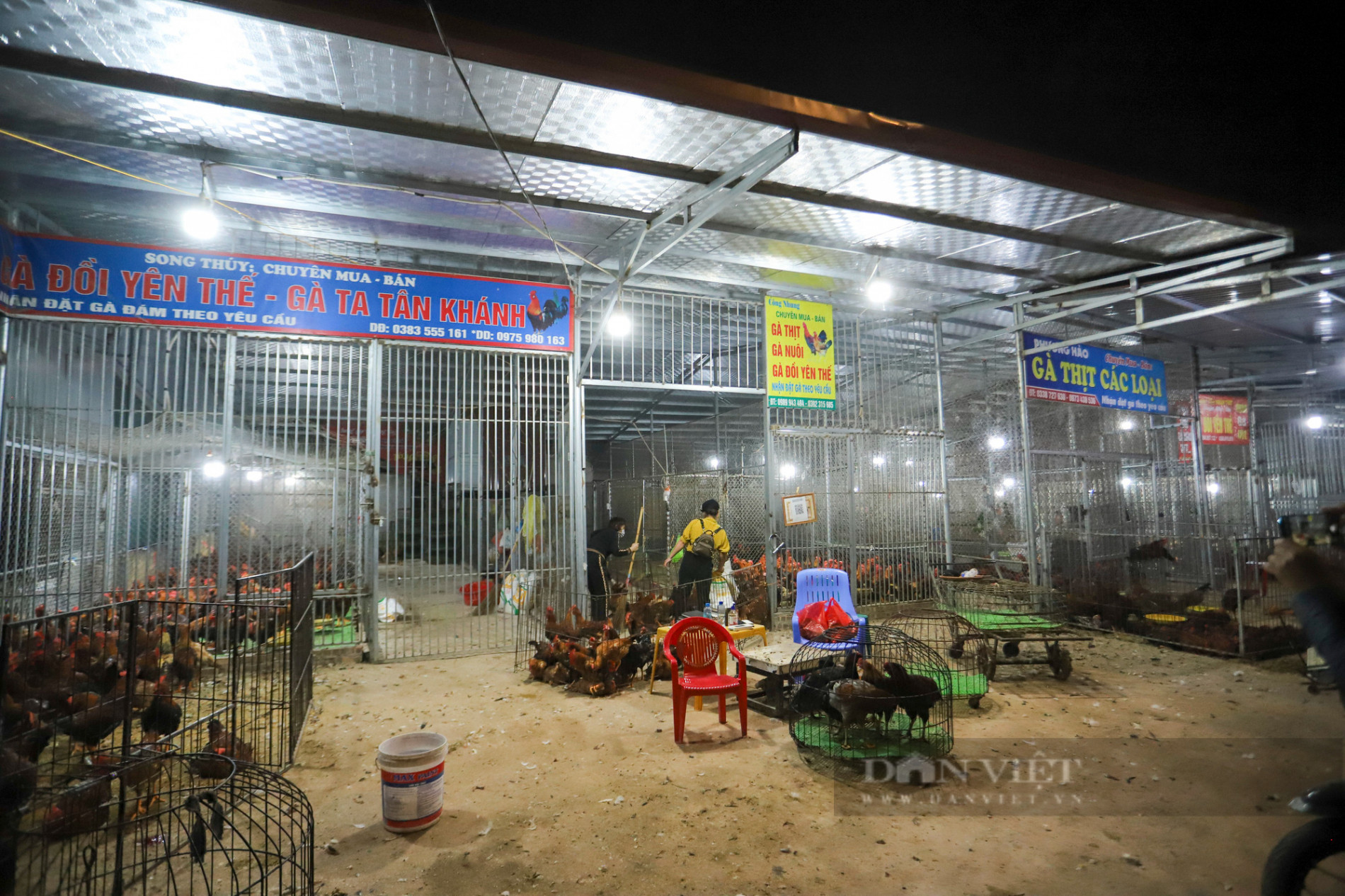 Bắc Giang: Cận cảnh chợ gà đêm Liên Sơn và mong mỏi về một “nơi ở mới” - Ảnh 5.