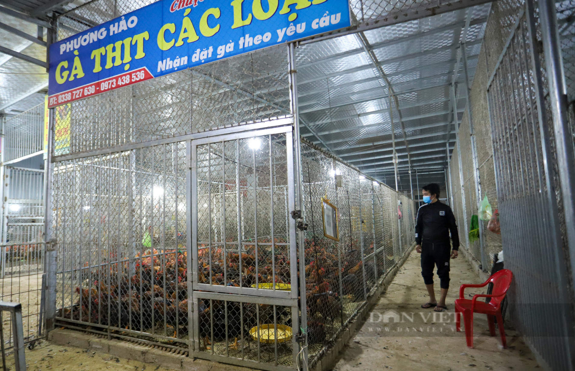 Bắc Giang: Cận cảnh chợ gà đêm Liên Sơn và mong mỏi về một “nơi ở mới” - Ảnh 12.