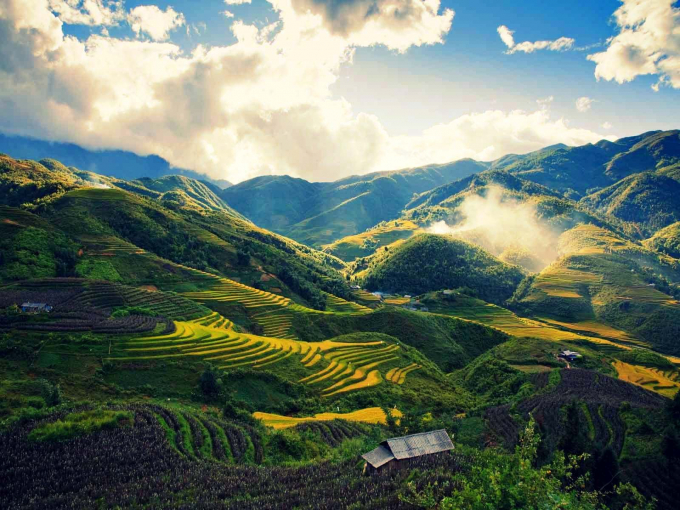 Thung Lũng Mường Hoa – Địa Điểm Tham Quan Đẹp Ở Lào Cai (Nguồn: internet)