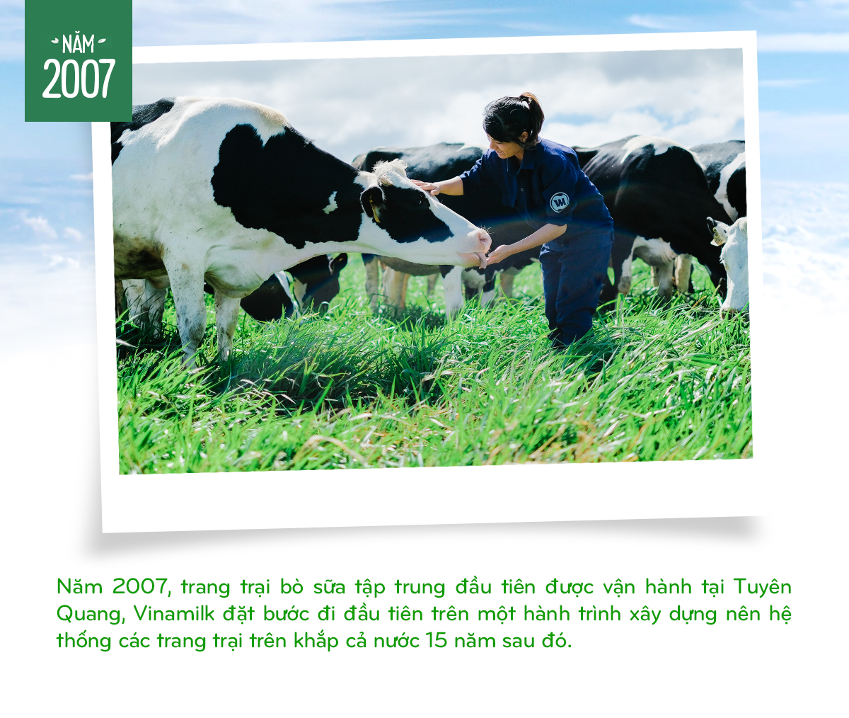 15 năm xây dựng hệ thống Trang trại Bò sữa Vinamilk - Tạp chí điện tử Bảo vệ Rừng và Môi trường