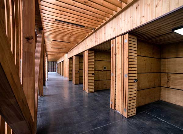 Công nghệ kỹ thuật số giúp gỗ trở thành vật liệu thay thế được thép và bê tông - Vật liệu xây dựng Việt Nam