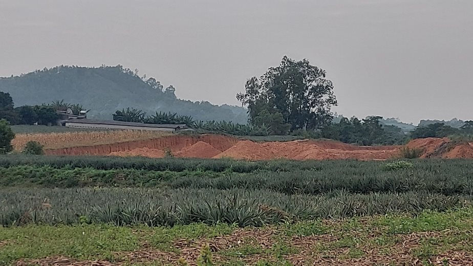 Bỉm Sơn – Thanh Hóa: Xúc đất nông trường đổ vào kho chứa nhà máy gạch