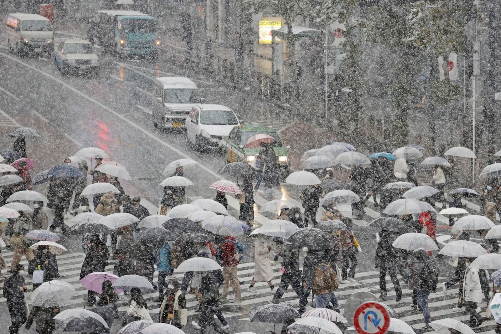 Hình ảnh tuyết rơi trắng xóa trung tâm Tokyo, nhiều nơi dày 5 cm - Ảnh 2.