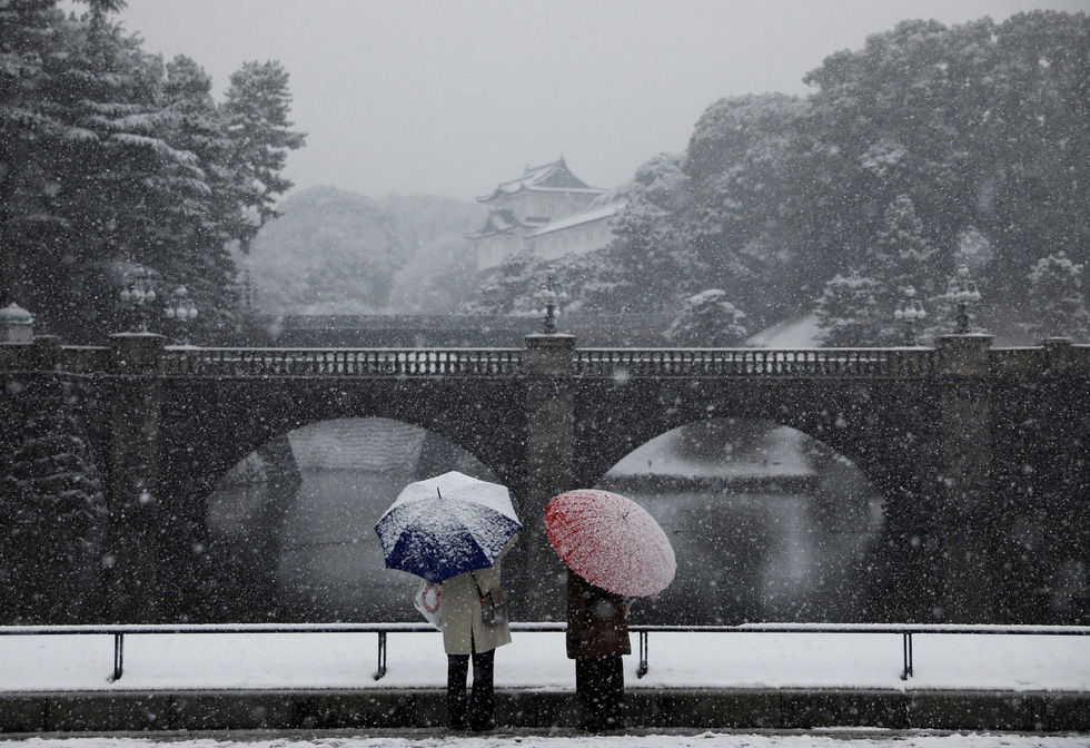 Hình ảnh tuyết rơi trắng xóa trung tâm Tokyo, nhiều nơi dày 5 cm - Ảnh 4.