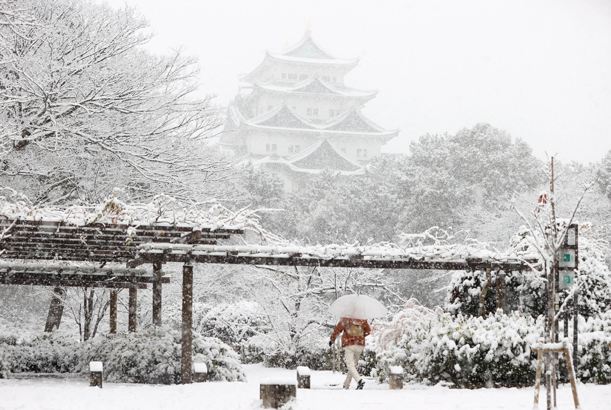 Hình ảnh tuyết rơi trắng xóa trung tâm Tokyo, nhiều nơi dày 5 cm - Ảnh 9.
