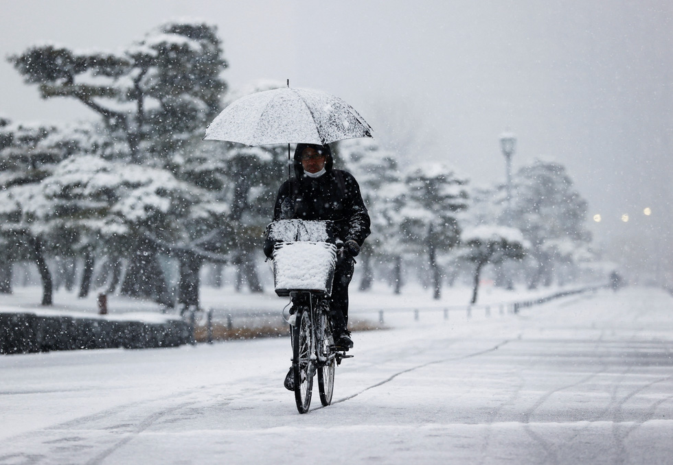 Hình ảnh tuyết rơi trắng xóa trung tâm Tokyo, nhiều nơi dày 5 cm - Ảnh 10.