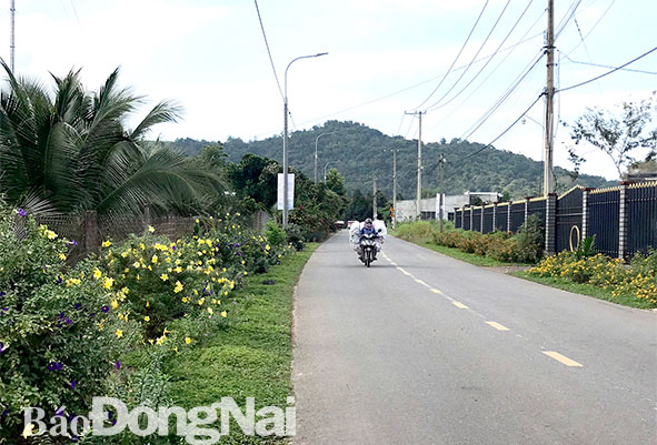 Đường làng không rác thải tại xã Phú An, H.Tân Phú