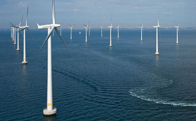 Thanh tra việc giao khu vực biển đối với các dự án điện gió, điện mặt trời - 1