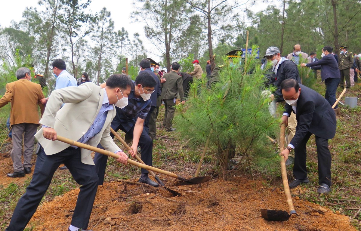 Trồng cây gây rừng: Bộ TN-MT sẽ tôn vinh các sáng kiến, cách làm hay