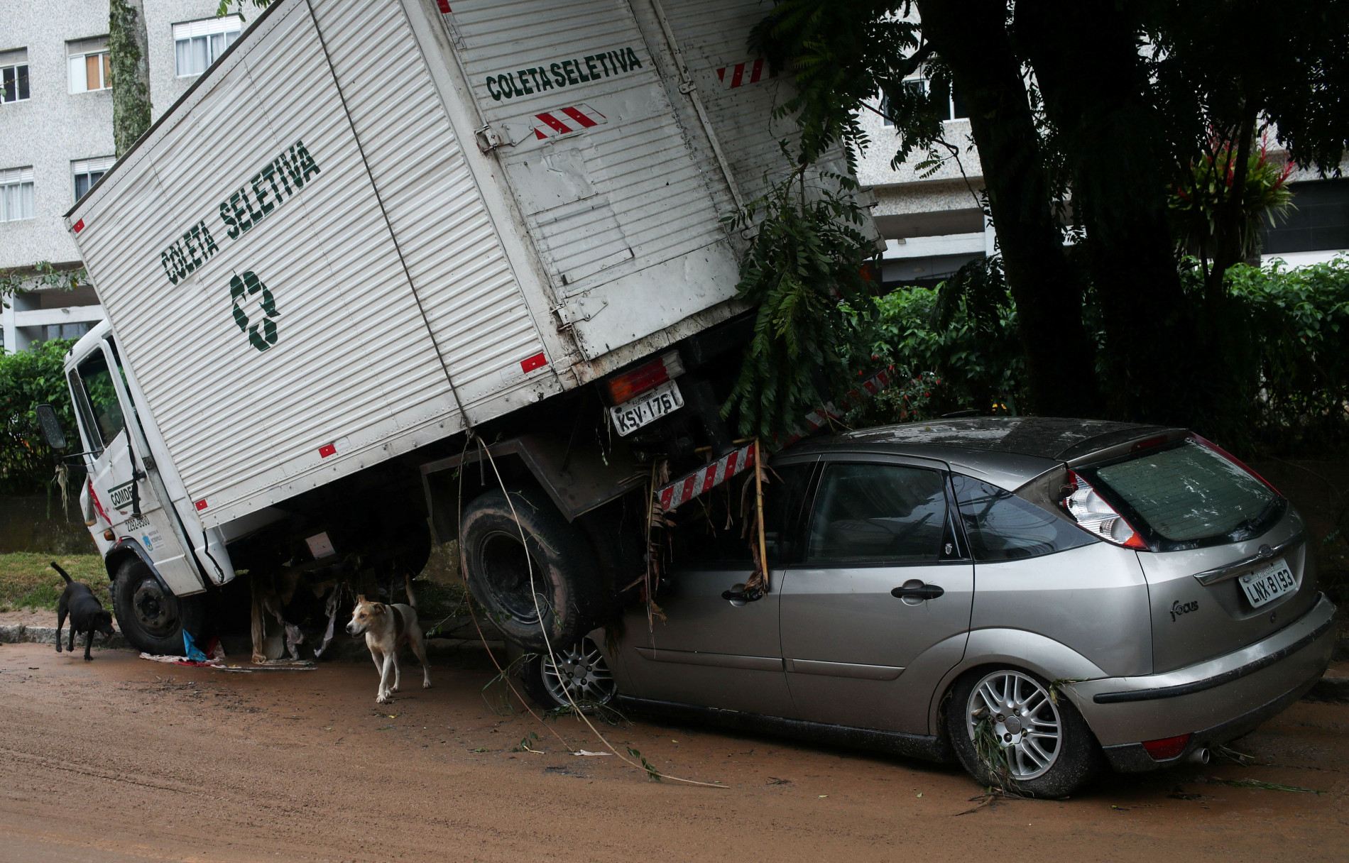 Lở đất kinh hoàng ở Brazil làm 94 người chết - 9