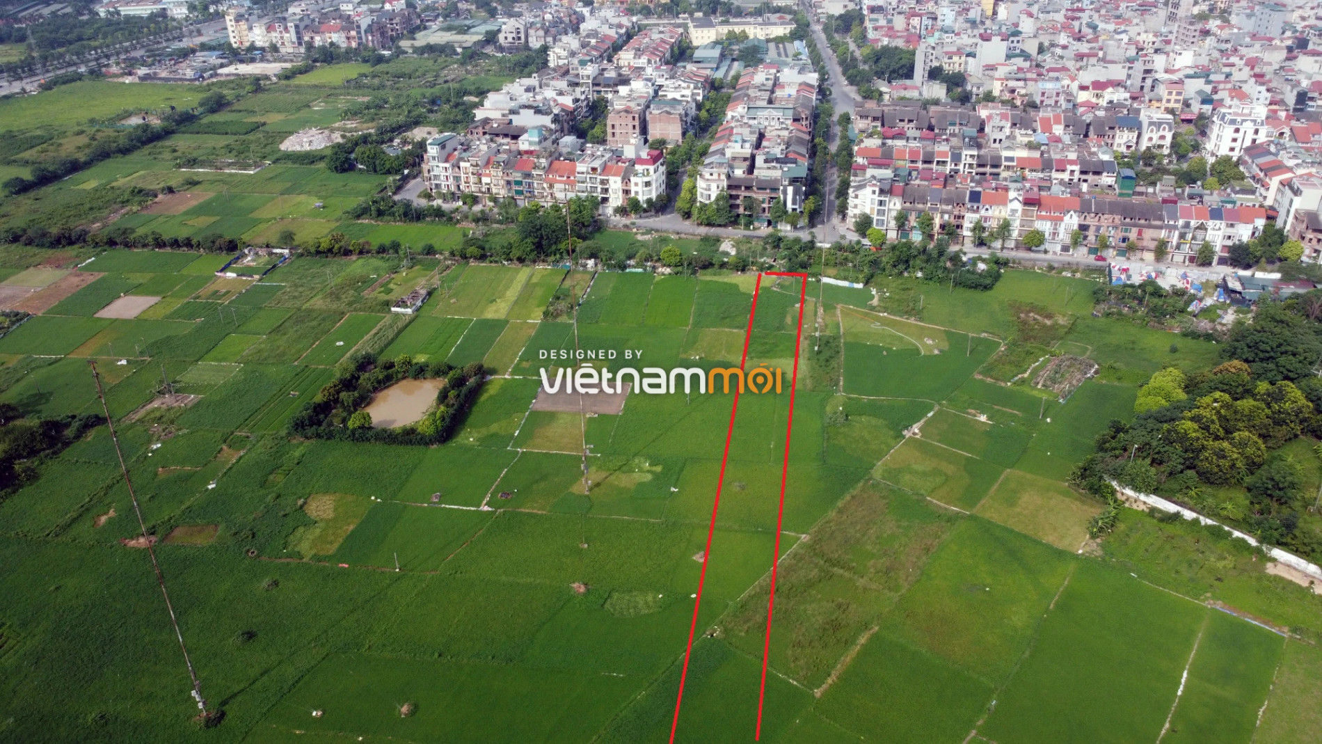 Những khu đất sắp thu hồi để mở đường ở xã Tân Triều, Thanh Trì, Hà Nội (phần 10) - Ảnh 12.