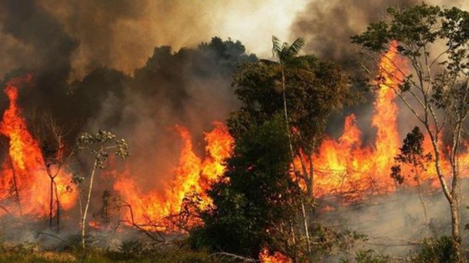 Cháy rừng nghiêm trọng trên toàn cầu sẽ tăng 14% vào năm 2030
