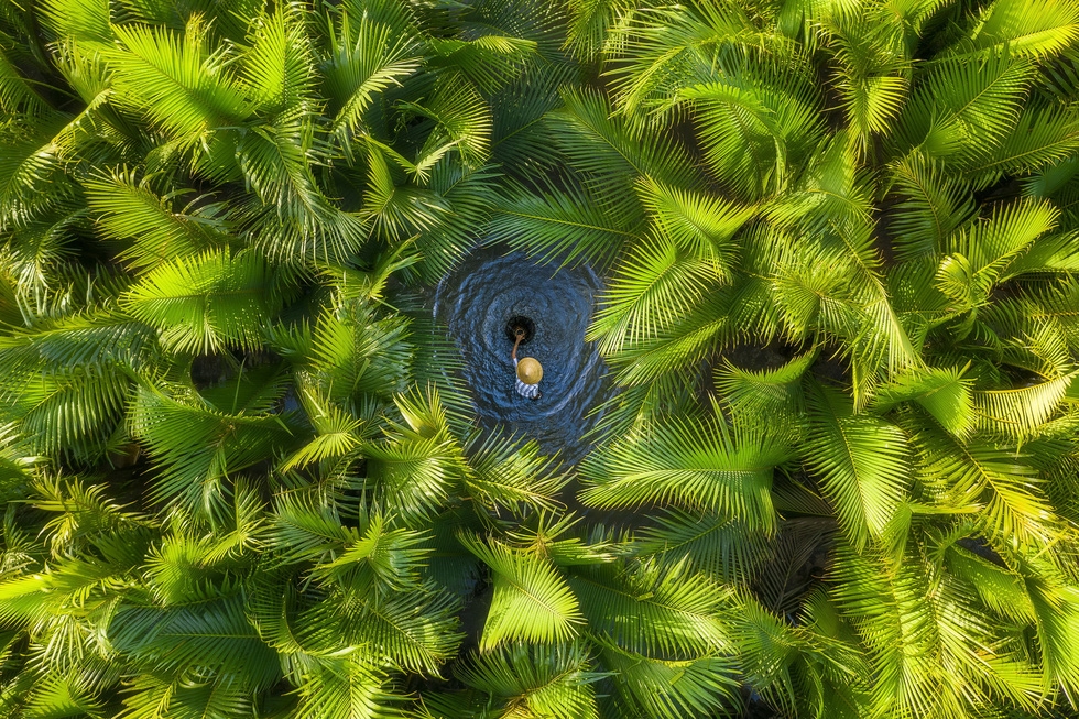 &quot;Trong rừng dừa nước&quot; - Chú Tâm bắt tôm cá trong cái ao (hố bom thời chiến tranh) giữa rừng dừa nước Tịnh Khê, ở đây đươc gọi là lá phổi xanh phía đông của TP Quảng Ngãi - Ảnh: KHÁNH PHAN