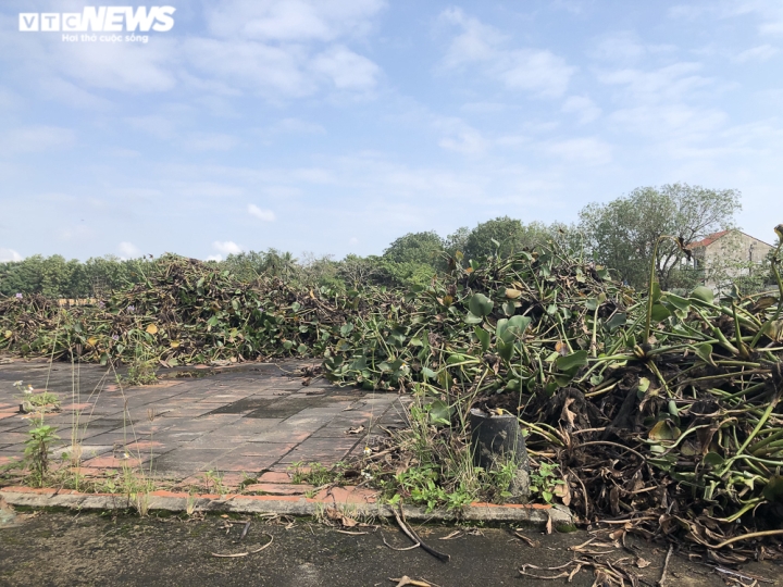 Ảnh: Cận cảnh công viên bị bỏ hoang 18 năm ở Quảng Bình - 3