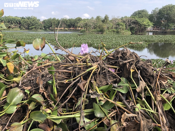 Ảnh: Cận cảnh công viên bị bỏ hoang 18 năm ở Quảng Bình - 5