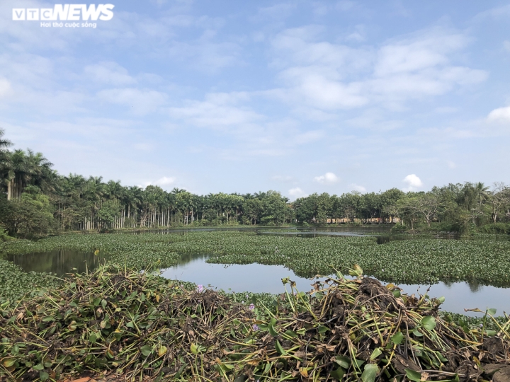 Ảnh: Cận cảnh công viên bị bỏ hoang 18 năm ở Quảng Bình - 6