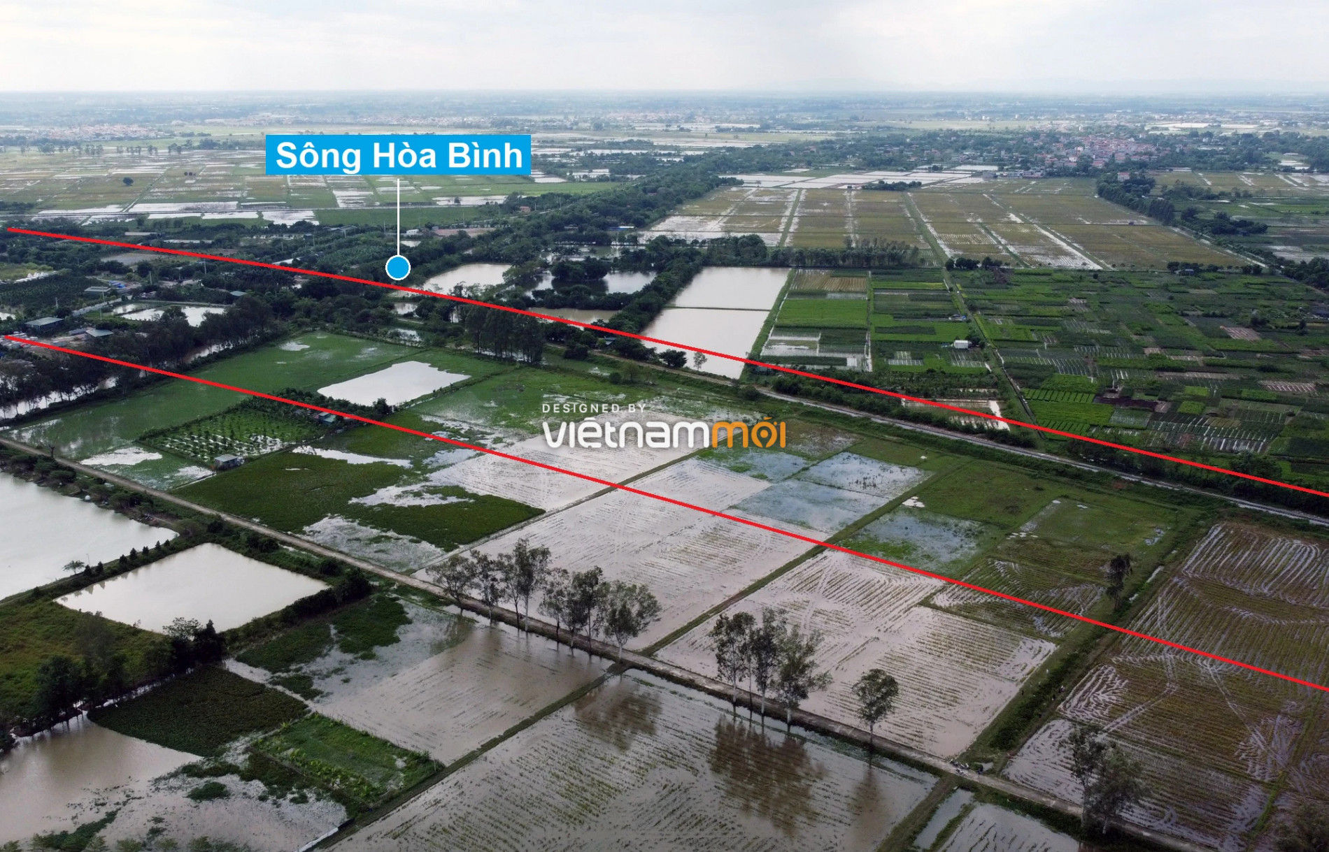 Những khu đất sắp thu hồi để mở đường ở xã Tả Thanh Oai, Thanh Trì, Hà Nội (phần 4) - Ảnh 7.