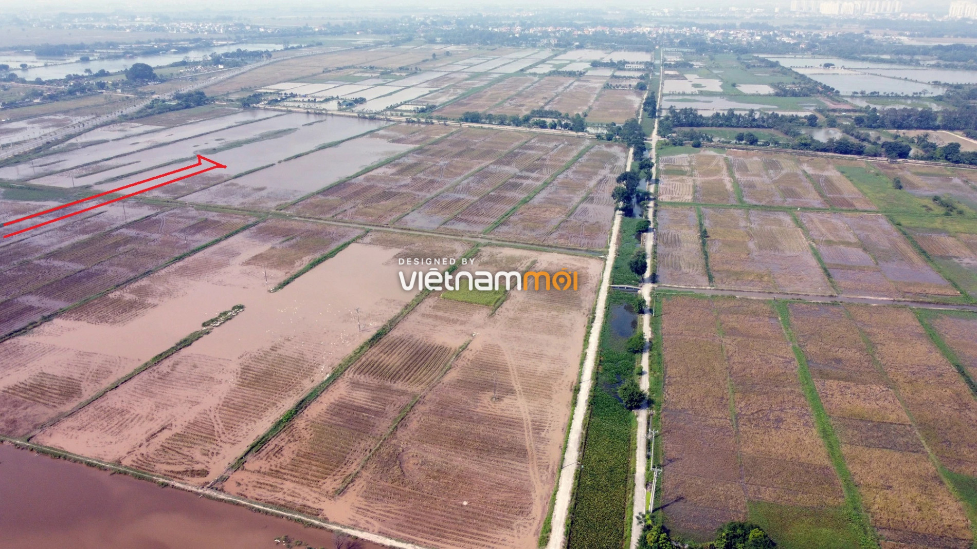 Những khu đất sắp thu hồi để mở đường ở xã Đại Áng, Thanh Trì, Hà Nội (phần 5) - Ảnh 7.