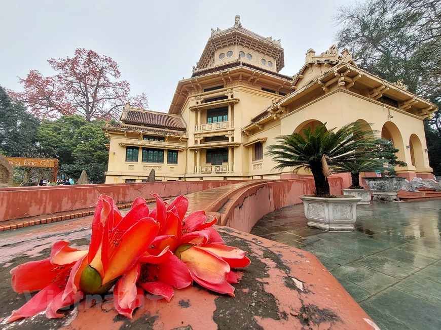 Ngắm kiến trúc Bảo tàng Lịch sử Quốc gia trong sắc hoa gạo tháng Ba | Văn hóa | Vietnam+ (VietnamPlus)