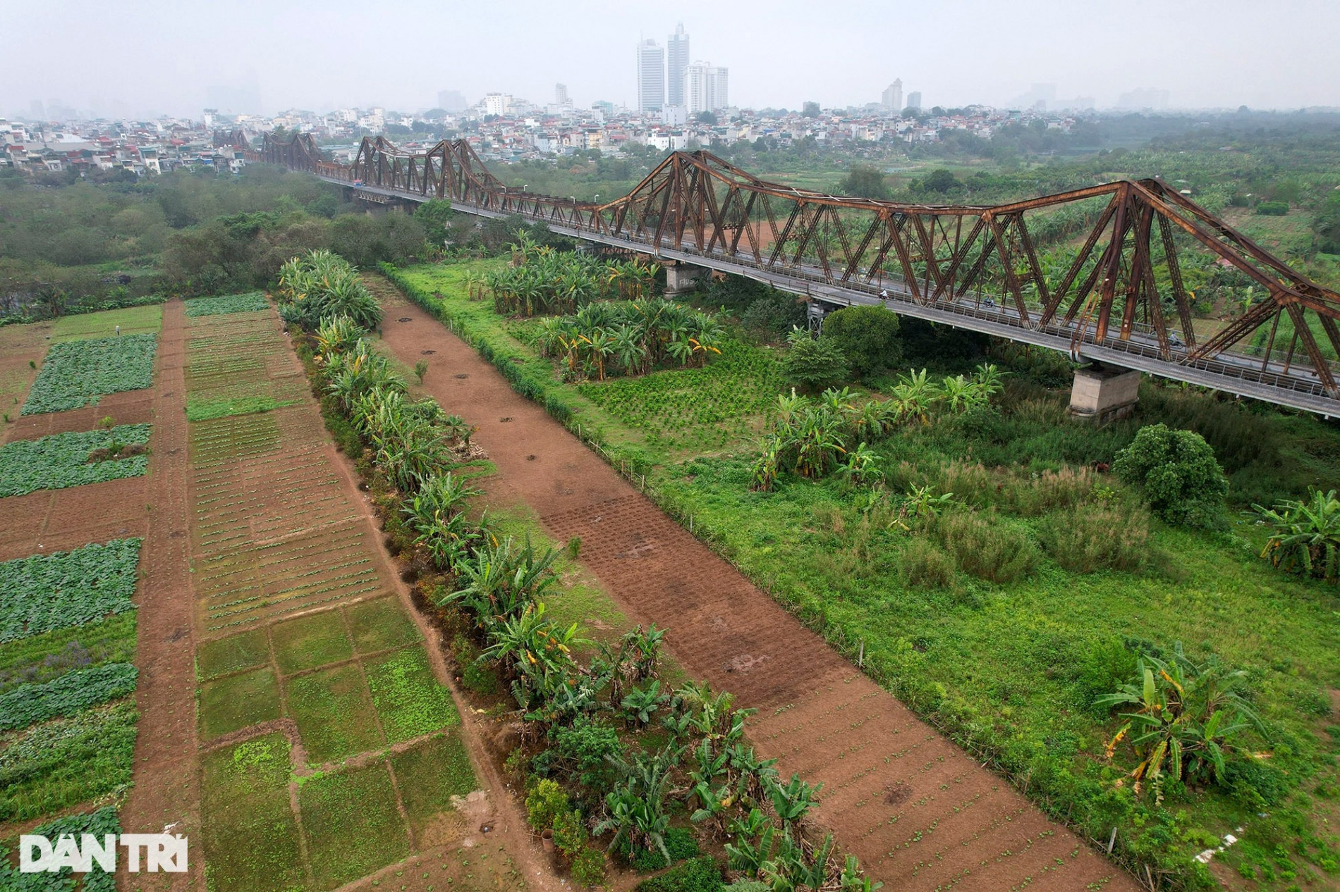Ngắm vẻ đẹp hoang sơ bãi giữa sông Hồng ở Hà Nội được đề xuất làm công viên - 3