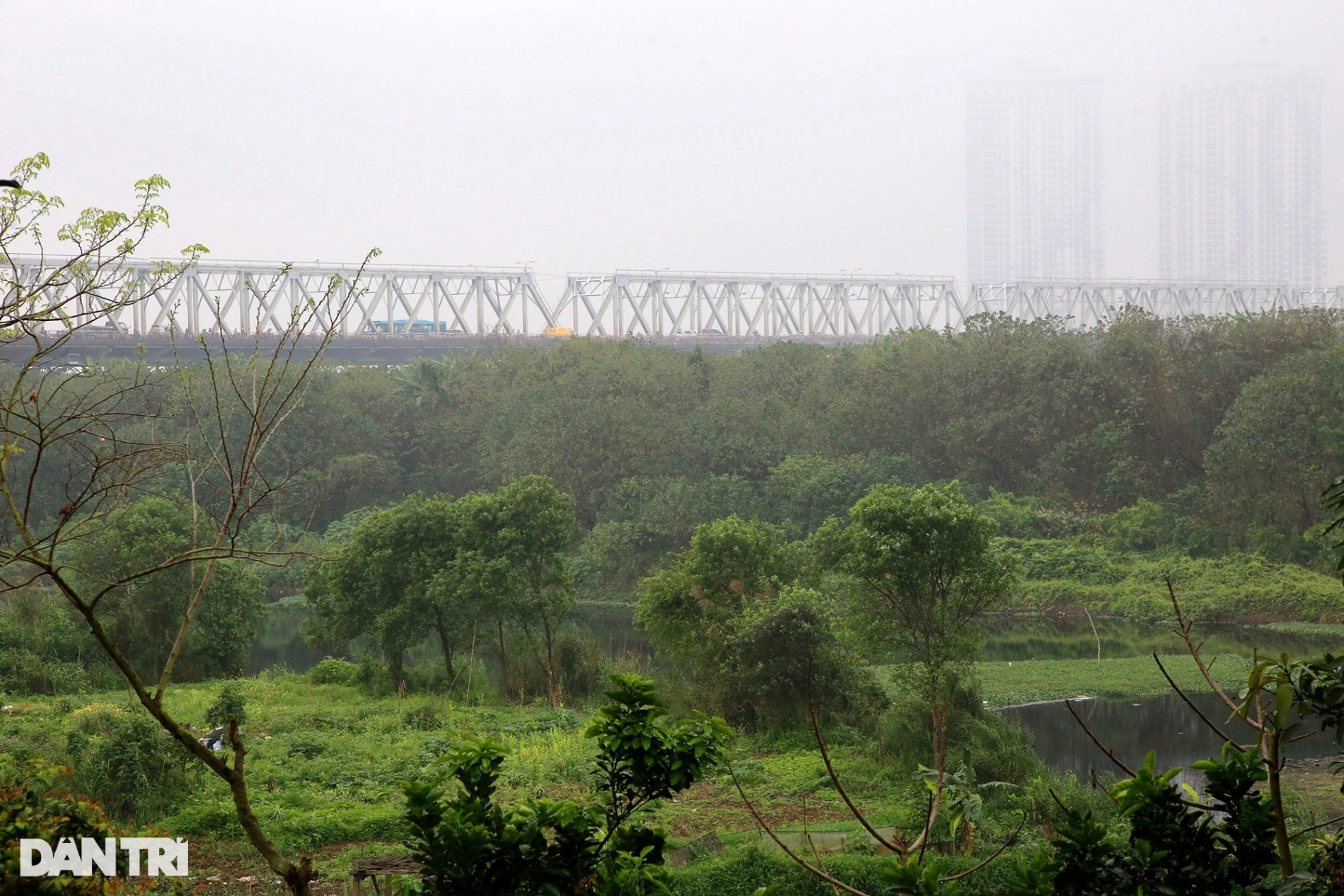 Ngắm vẻ đẹp hoang sơ bãi giữa sông Hồng ở Hà Nội được đề xuất làm công viên - 4