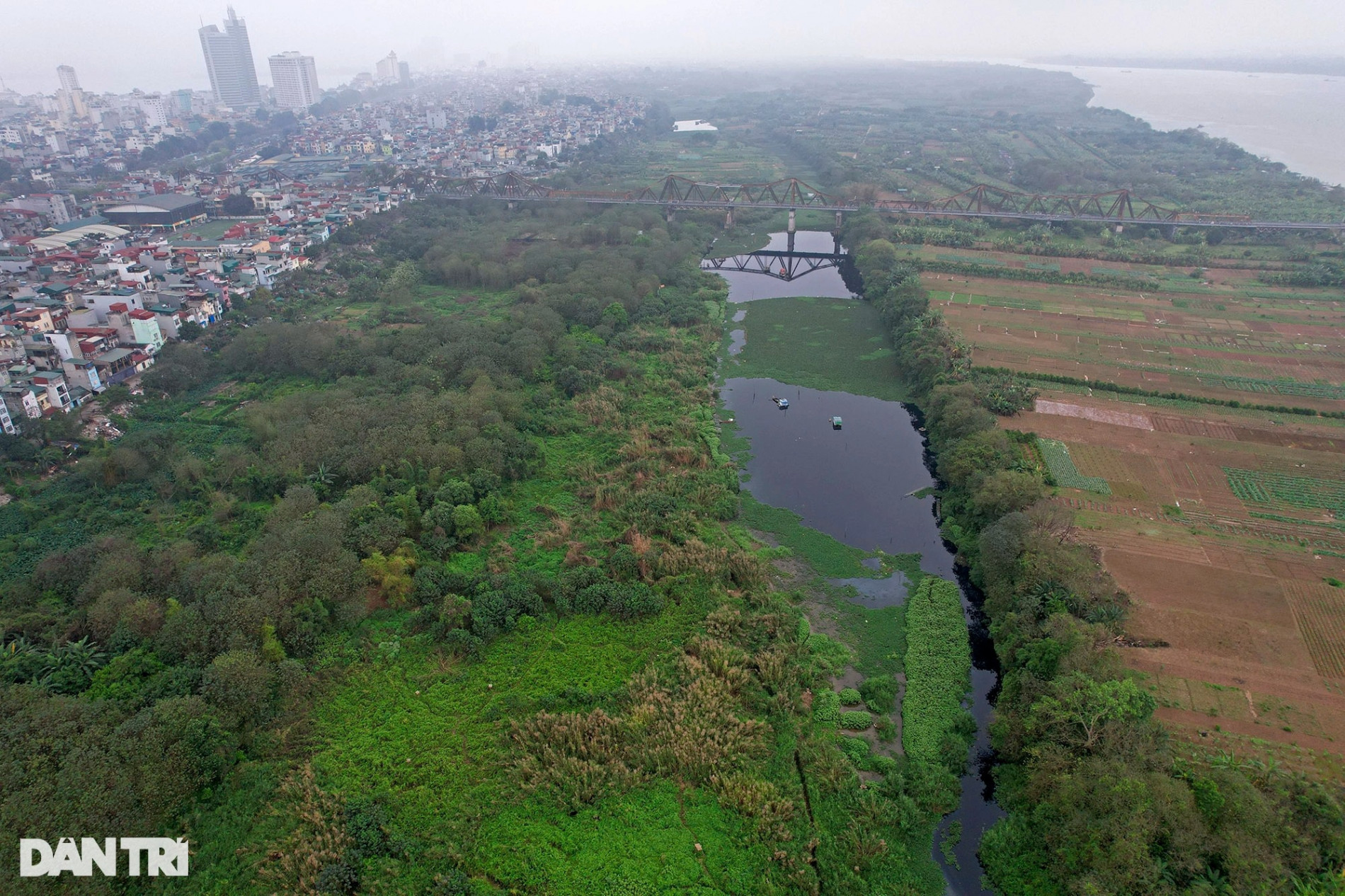 Ngắm vẻ đẹp hoang sơ bãi giữa sông Hồng ở Hà Nội được đề xuất làm công viên - 11