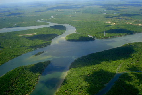 Sông Amazon trải dài từ dãy Andes tới Đại Tây Dương qua nhiều quốc gia Nam Mỹ, không nơi nào xây dựng cầu qua sông