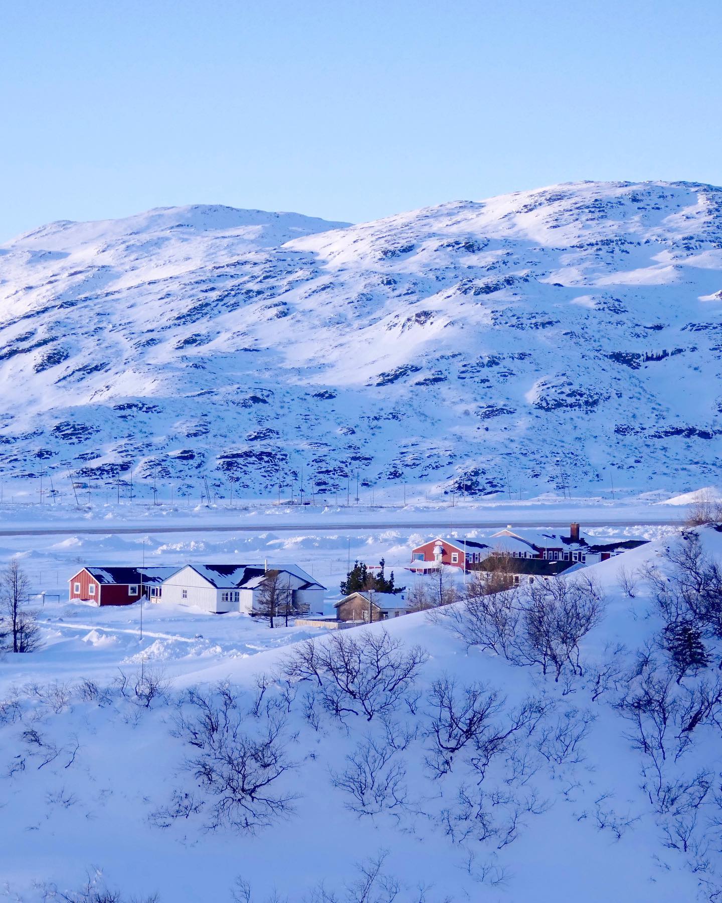 Vùng Narsarsuaq của Greenland. Ảnh: @polarphile