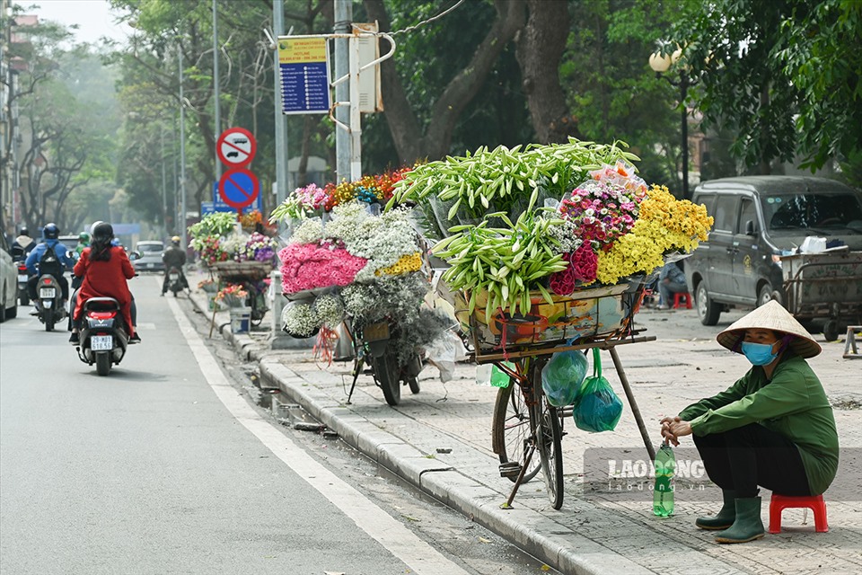 Trên các tuyến đường như Thụy Khuê, Phan Đình Phùng, Láng Hạ, Thanh Niên,… các xe hoa bắt đầu tràn ngập những bông hoa loa kèn.