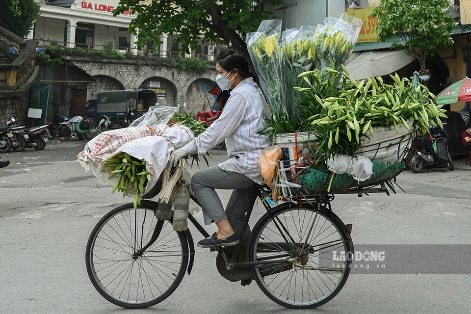 Đạp xe quanh các con phố, chị Ngô Thị Thanh Hiền (Long Biên) cho hay đang vào mùa hoa, trung bình mỗi ngày chị bán khoảng 600 cành. Chị cũng cho biết đa phần khách thích cắm thành bình hoa to 20 - 30 bông nên thích những cành hoa dài.