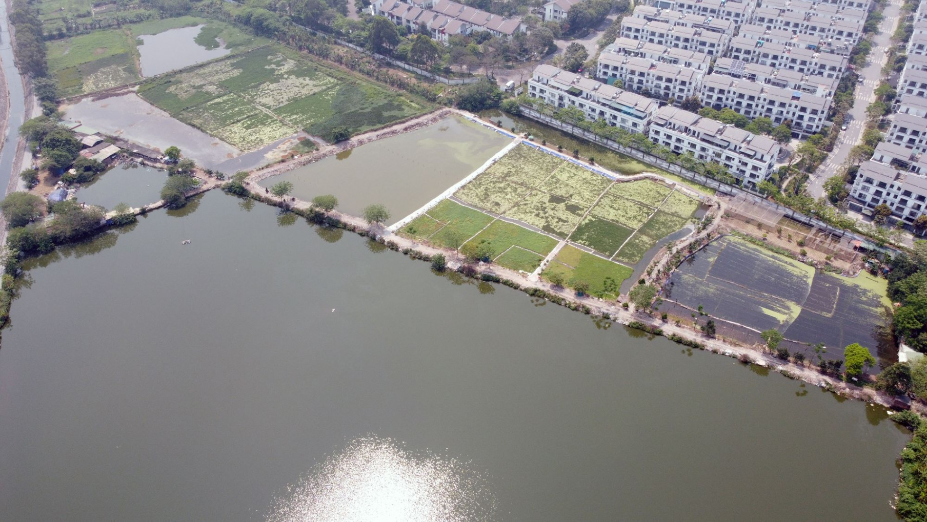 Sắp lấp nhiều hồ để làm nhà, làm đường ở quận Hoàng Mai, Hà Nội (phần 1)