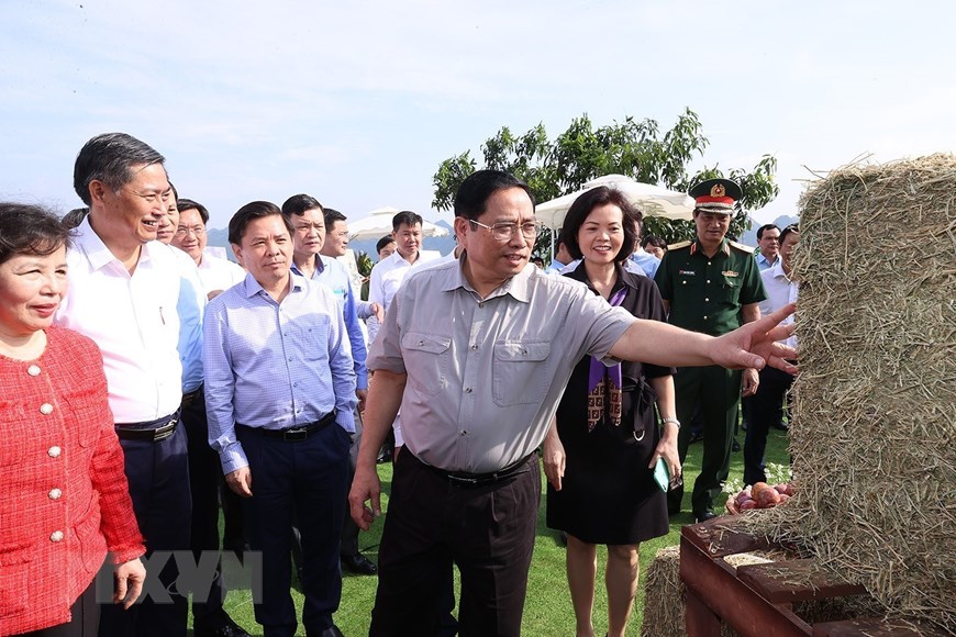 Hình ảnh Thủ tướng dự khởi công dự án Tổ hợp Thiên đường sữa Mộc Châu | Kinh doanh | Vietnam+ (VietnamPlus)