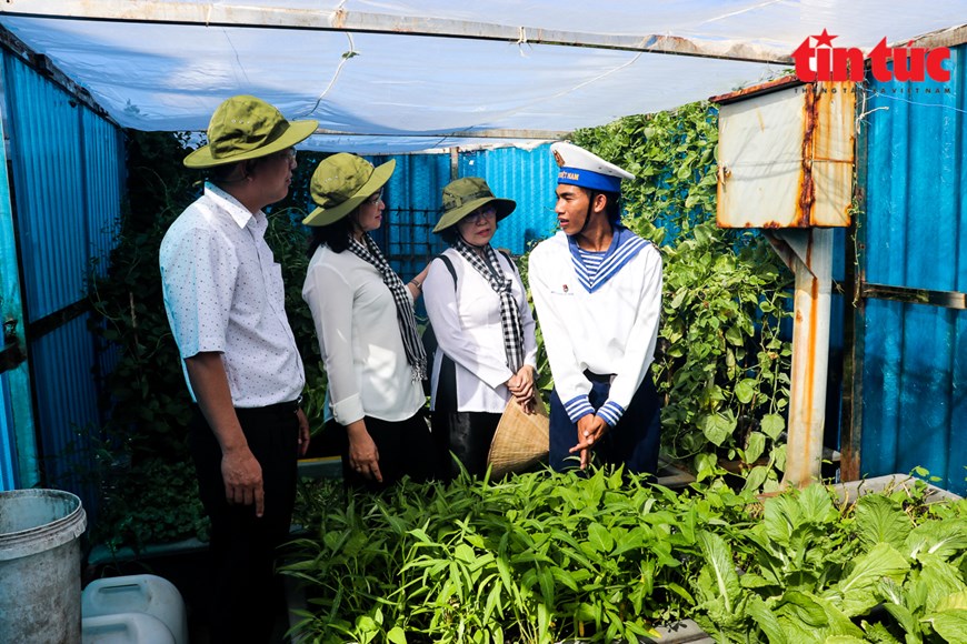 Hình ảnh xanh mát những vườn rau trên quần đảo Trường Sa | Xã hội | Vietnam+ (VietnamPlus)