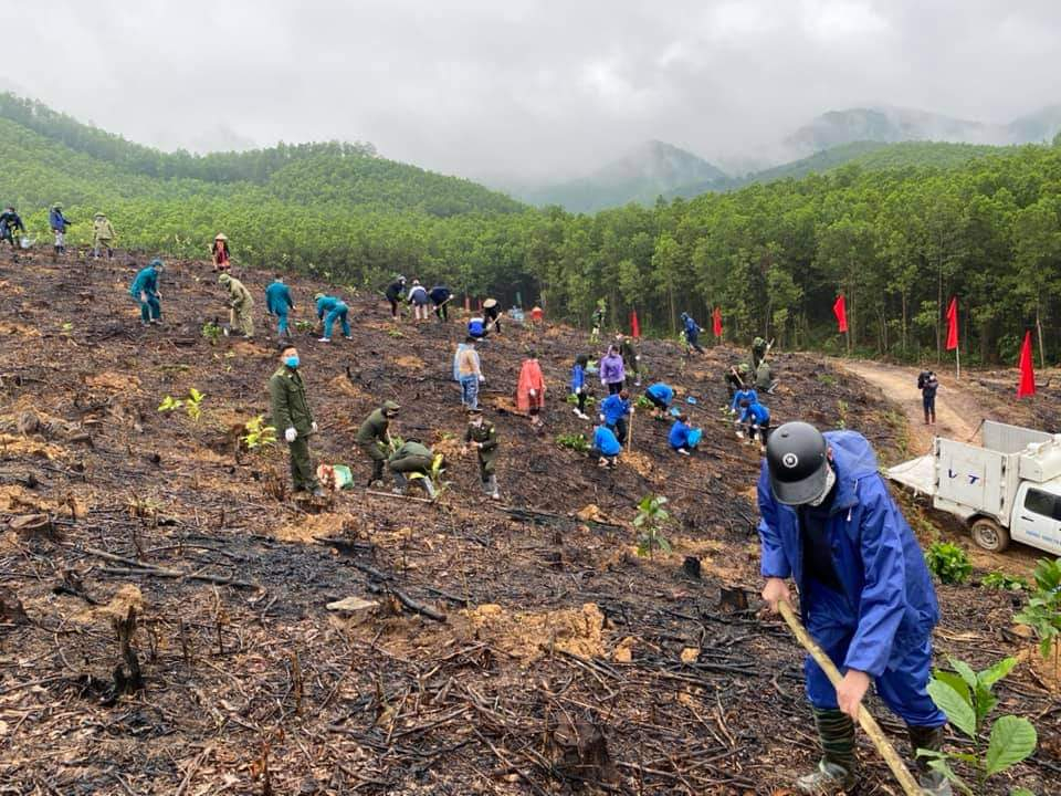Cán bộ, Nhân dân thành phố Hạ Long tổ chức trồng cây gỗ lớn tại thôn Đèo Đọc xã Đồng Lâm.