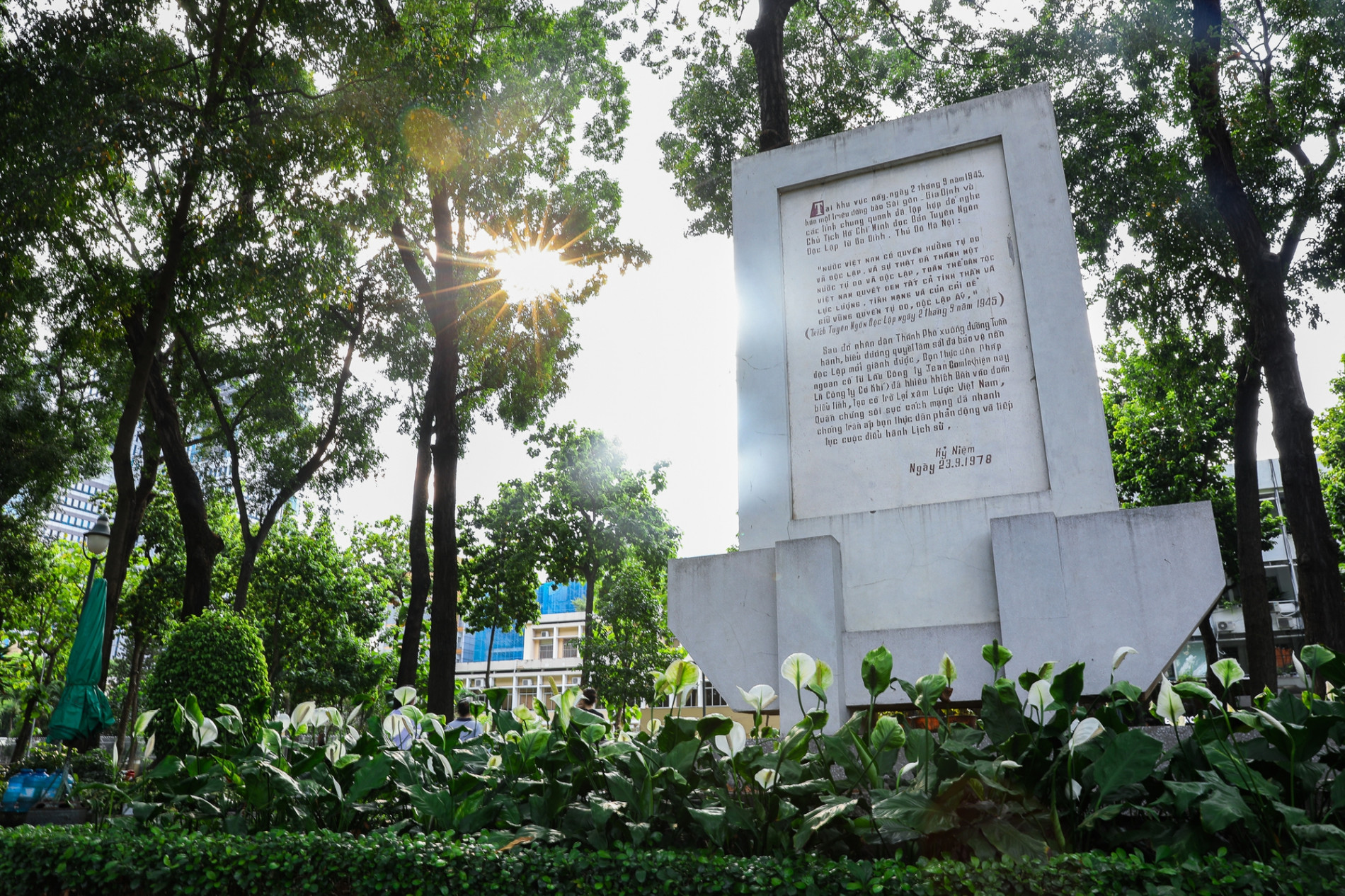 Những mảng xanh làm mát lòng người Sài Gòn trong ngày hè oi bức - Ảnh 2.