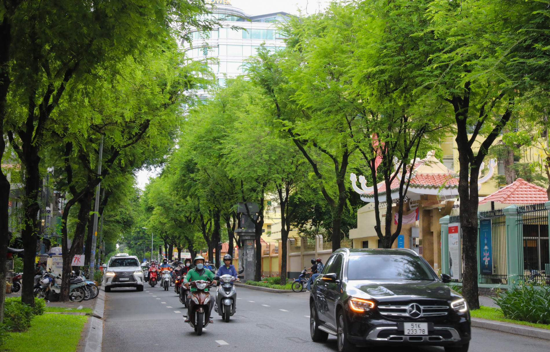 Những mảng xanh làm mát lòng người Sài Gòn trong ngày hè oi bức - Ảnh 5.