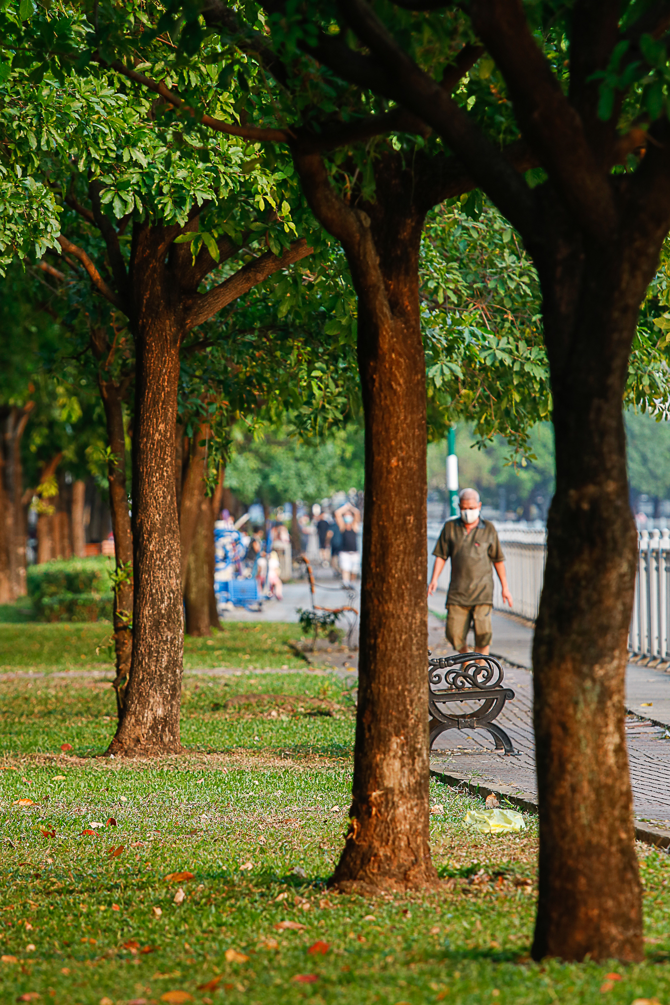 Những mảng xanh làm mát lòng người Sài Gòn trong ngày hè oi bức - Ảnh 8.