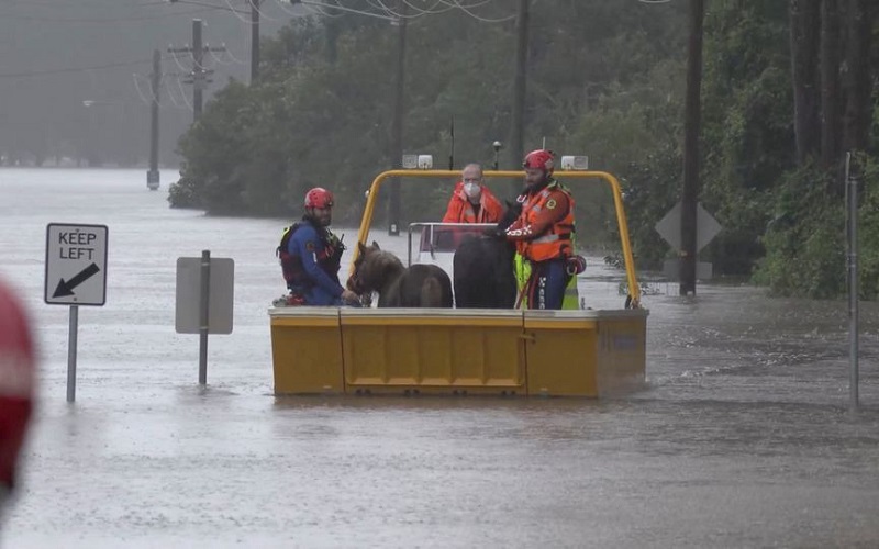 Australia sơ tán hàng nghìn người dân ở Sydney do lũ lụt nghiêm trọng