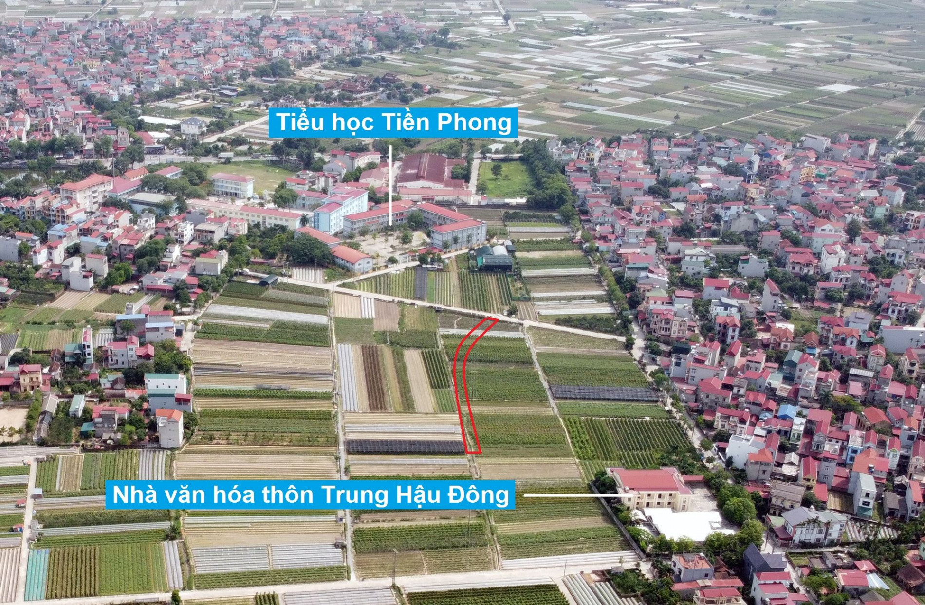 Đường sẽ mở theo quy hoạch ở xã Tiền Phong, Mê Linh, Hà Nội (phần 1)