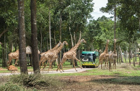 “Biệt đội phản ứng nhanh” của Vinpearl Safari Phú Quốc