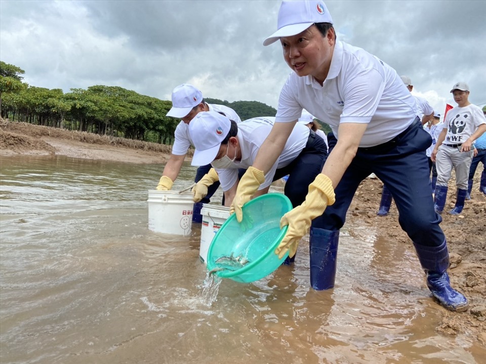 Các đại biểu thả cá giống tại Tiên Yên, Quảng Ninh.