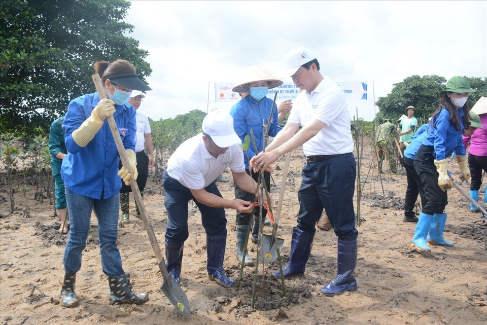 Bộ trưởng Trần Hồng hà cùng các đại biểu trồng cây tại Rừng ngập mặn Đồng Rui tại huyện Tiên Yên, tỉnh Quảng Ninh.
