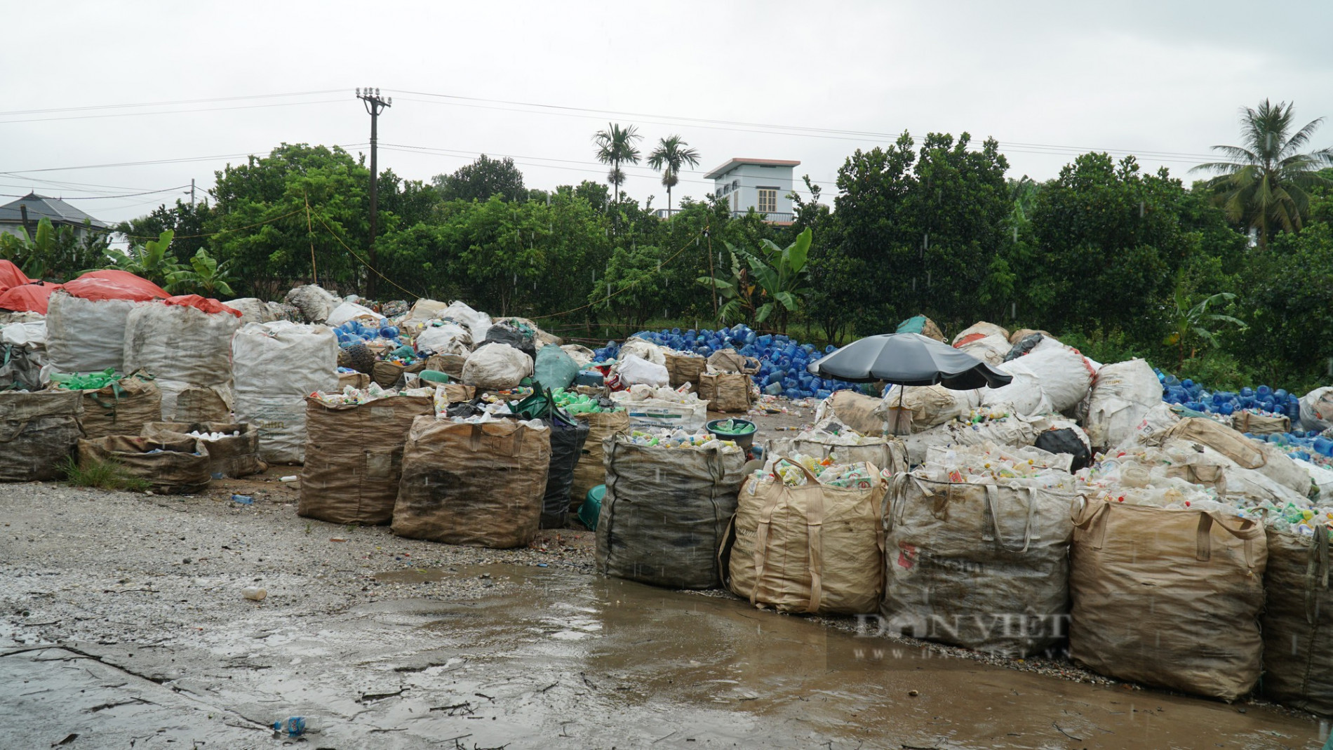Nông dân Việt Nam xuất sắc 2022 tỉnh Tuyên Quang là người biến rác thải thành phân bón hữu cơ, tái chế rác thải nhựa - Ảnh 5.
