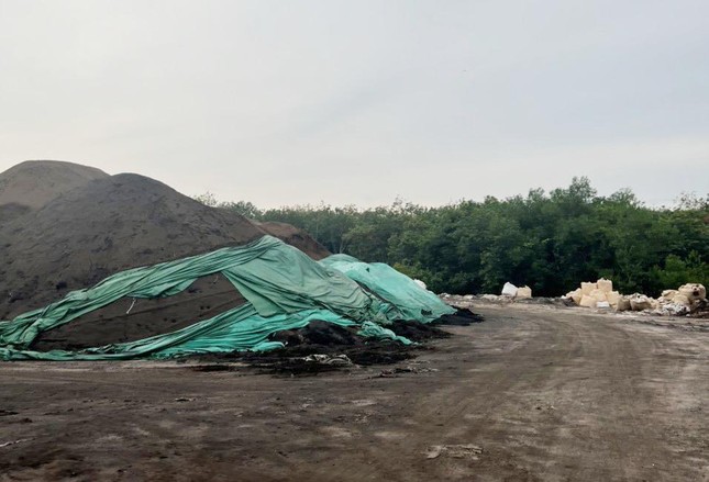 Vụ chôn rác thải quy mô lớn: Chủ tịch tỉnh Bình Dương chỉ đạo xử lý ảnh 1