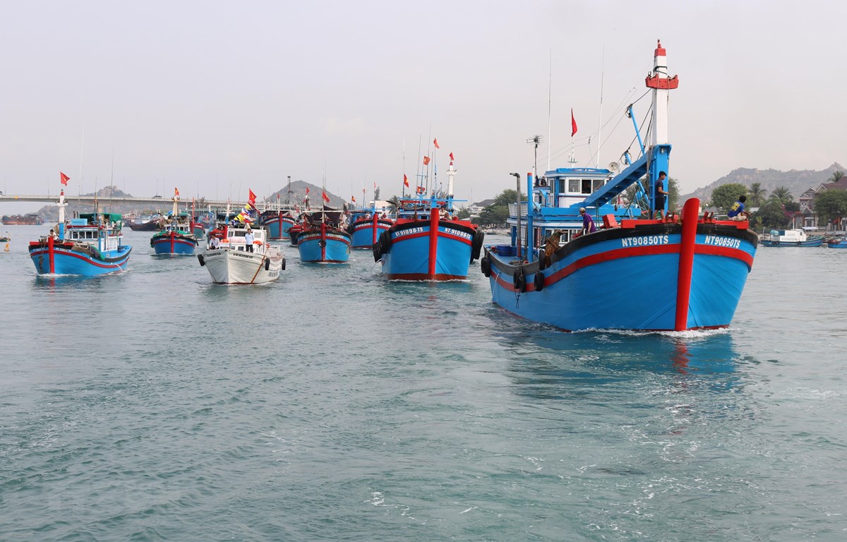 Bến Tre triển khai Đề án Bảo vệ môi trường trong hoạt động thủy sản